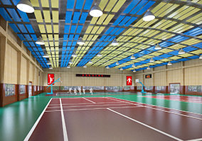 體育場館、文旅場館項目