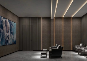 家庭影院、Hi-Fi空間、視聽室、客廳、KTV、酒吧等項目