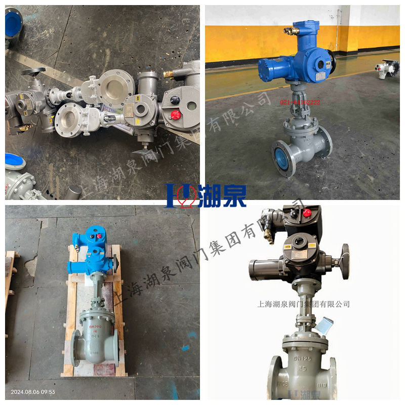 隔爆型閥門電動(dòng)裝置